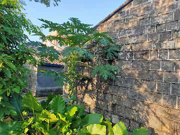 1572670559355637.jpg 微信图片_20191102094059.jpg